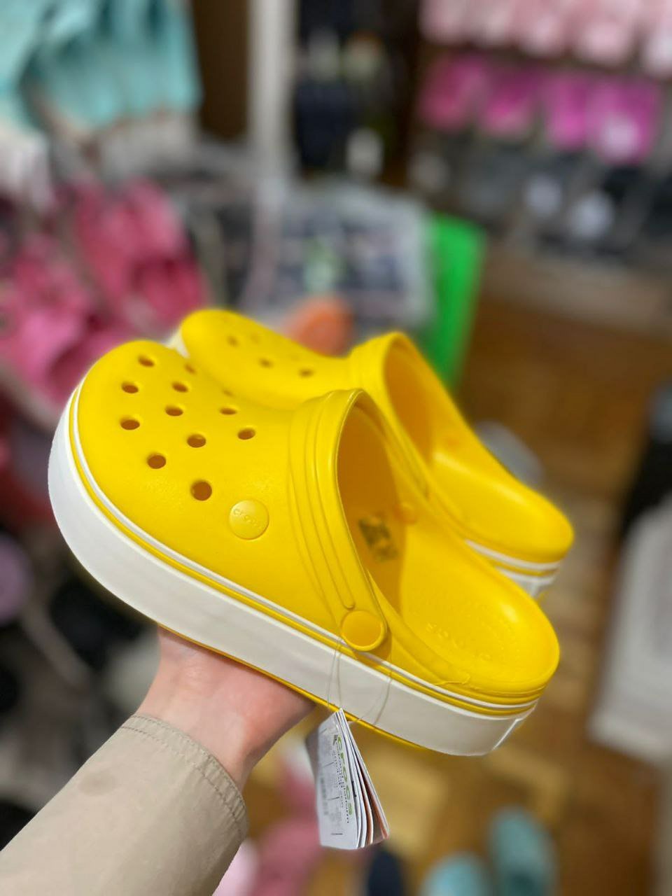 27830.jpg